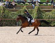 DE RISIO IRWIN CampITA2013- S5 0248 : Campionati Italiani 2013, Cattolica, DE RISIO DANIELA, E.H. IRWIN LIZZY, Horse Riviera Resort, foto di Stefano Secchi ©